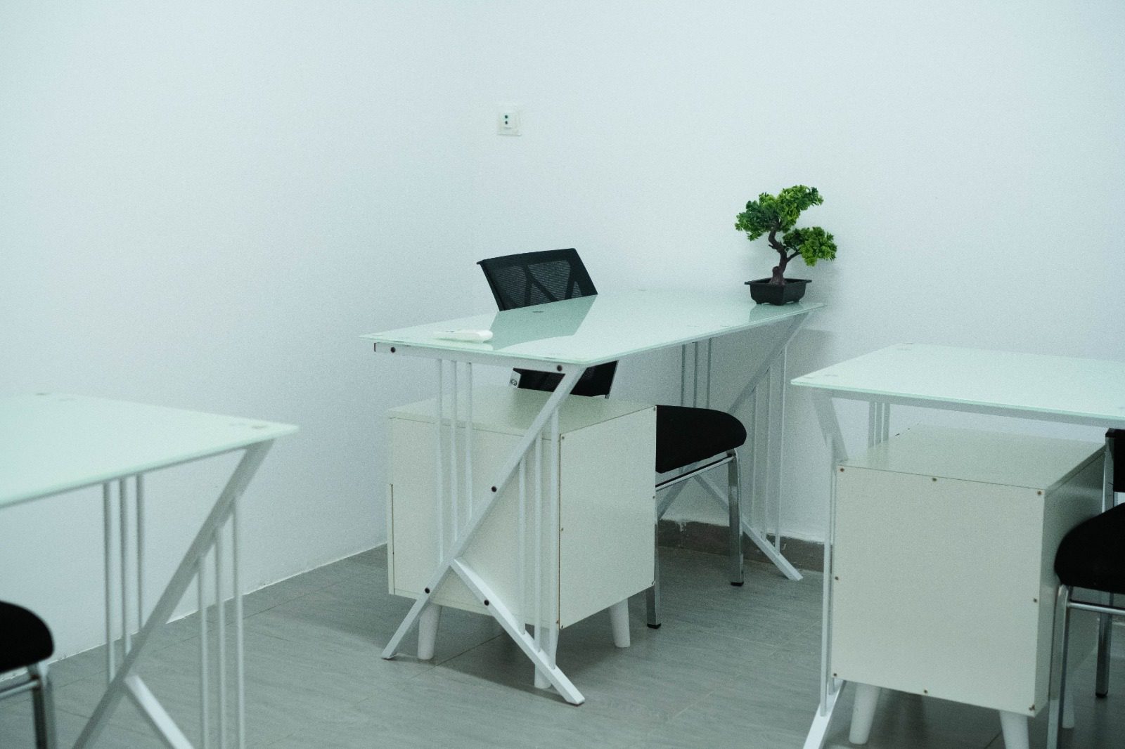 whatsapp-image-2026-04-15-at-31257-pm-2